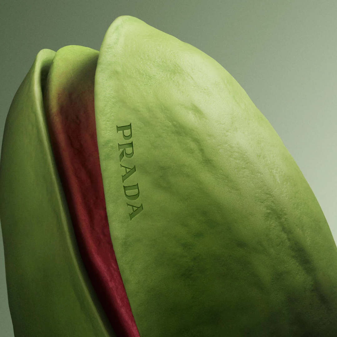 Paradoxe Radical Essence - Notes