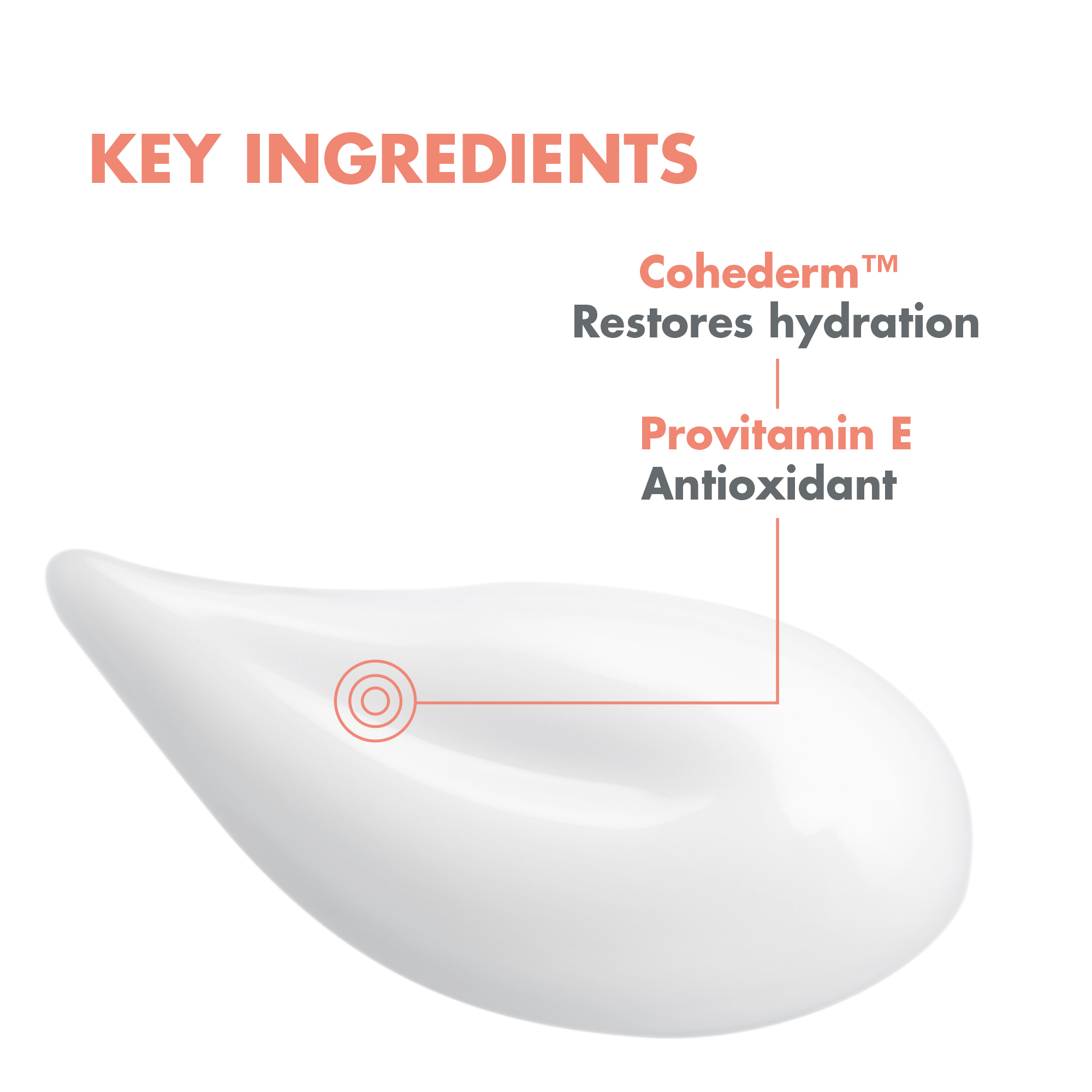 Hydrating Emulsion Hydrance Light + FREE Cleansing Foam