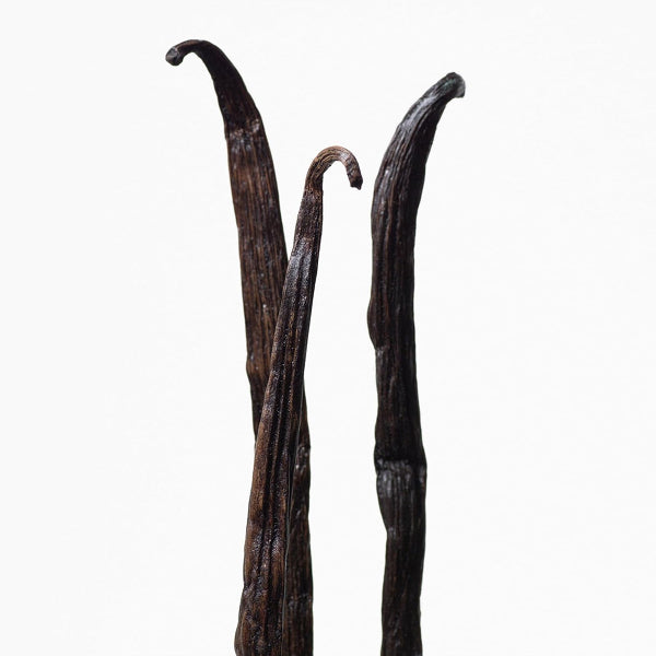 Euphoria Women Eau De Toilette - Base Note