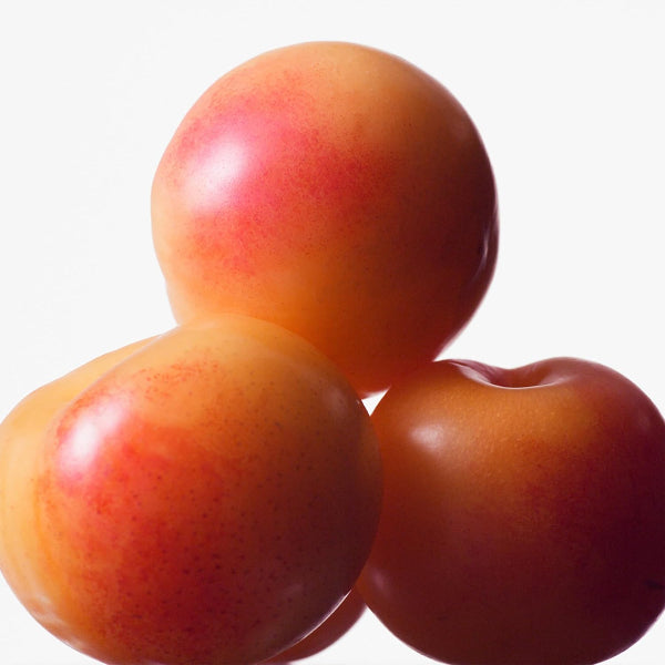 Euphoria Women Eau De Toilette - Top Note 