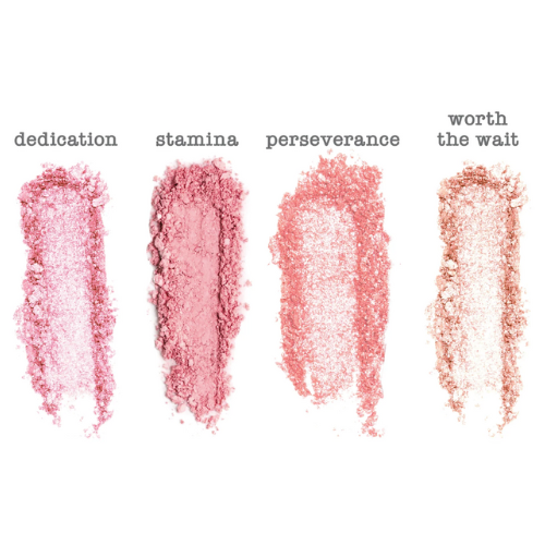 Will Powder Blush Quad Loolia Closet