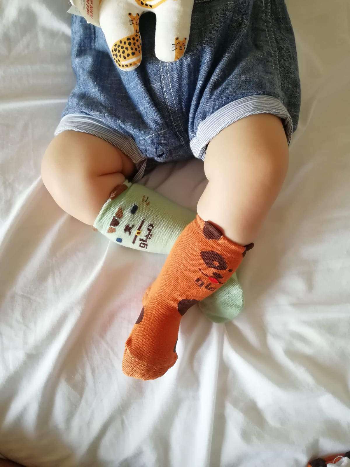 Cat Socks Kids & Babies Socks Sikasok 