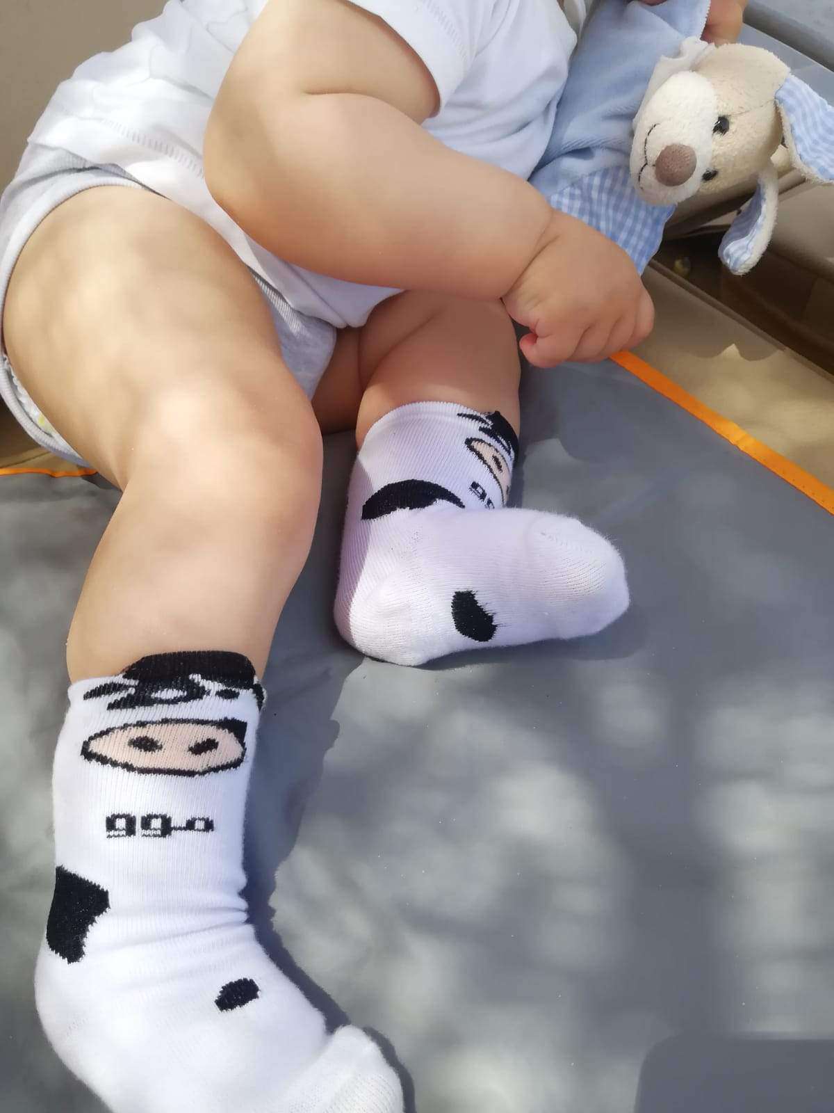 Cow Socks Kids & Babies Socks Sikasok 
