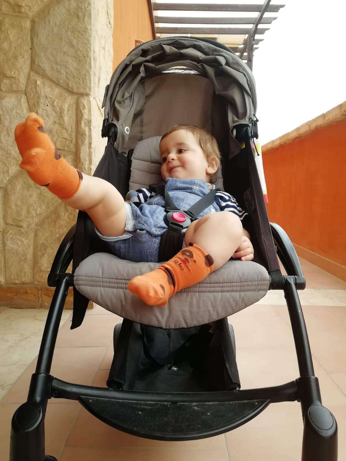 Dog Socks Kids & Babies Socks Sikasok 